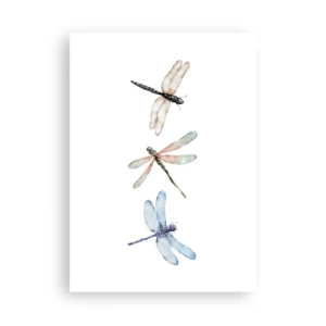 Plagát - Beztiažové vážky - 50x70 cm