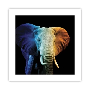 Plagát - Excentrický muž, avšak nie podivín - 40x40 cm