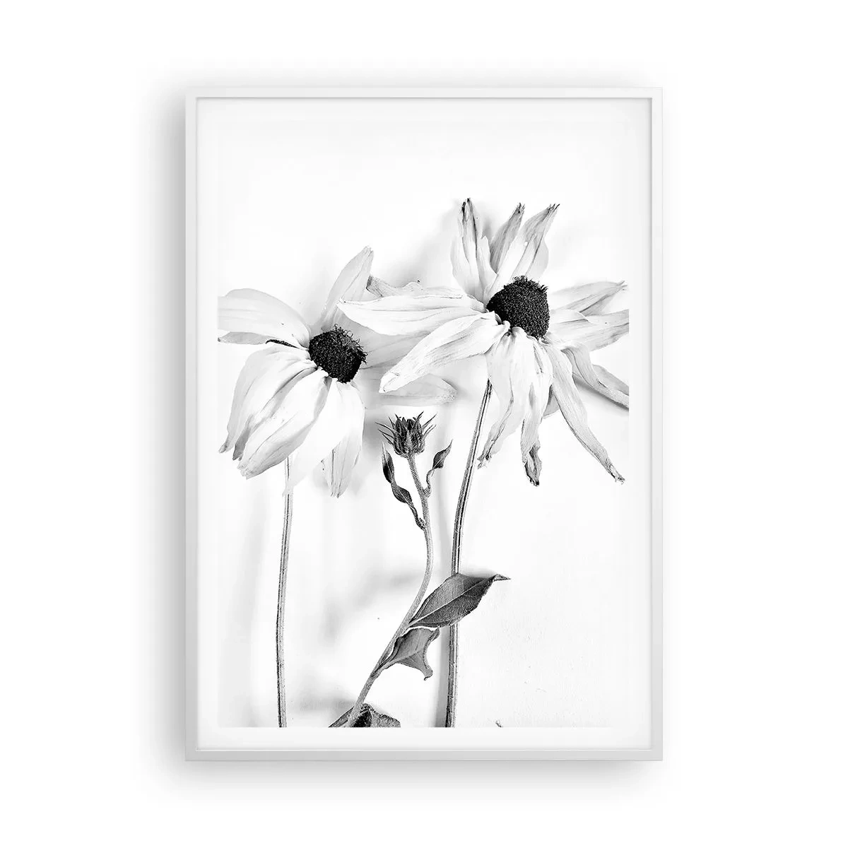 Plagát v bielom ráme - Nikto nechce byť sám - 70x100 cm