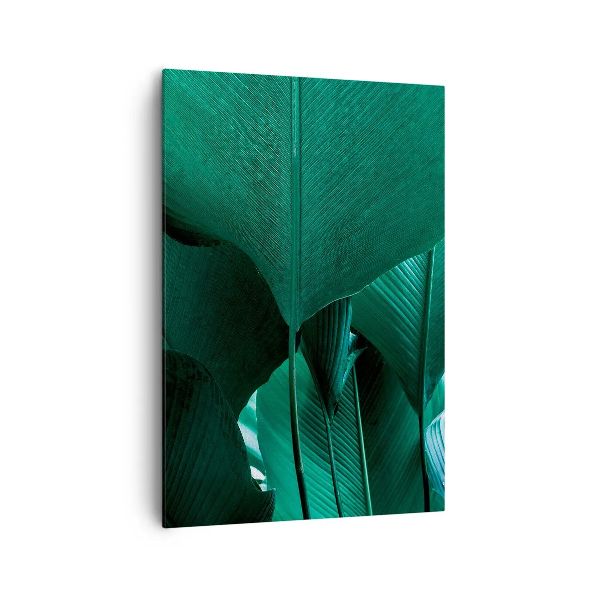 Obraz na plátne - Obrátené k svetlu - 70x100 cm