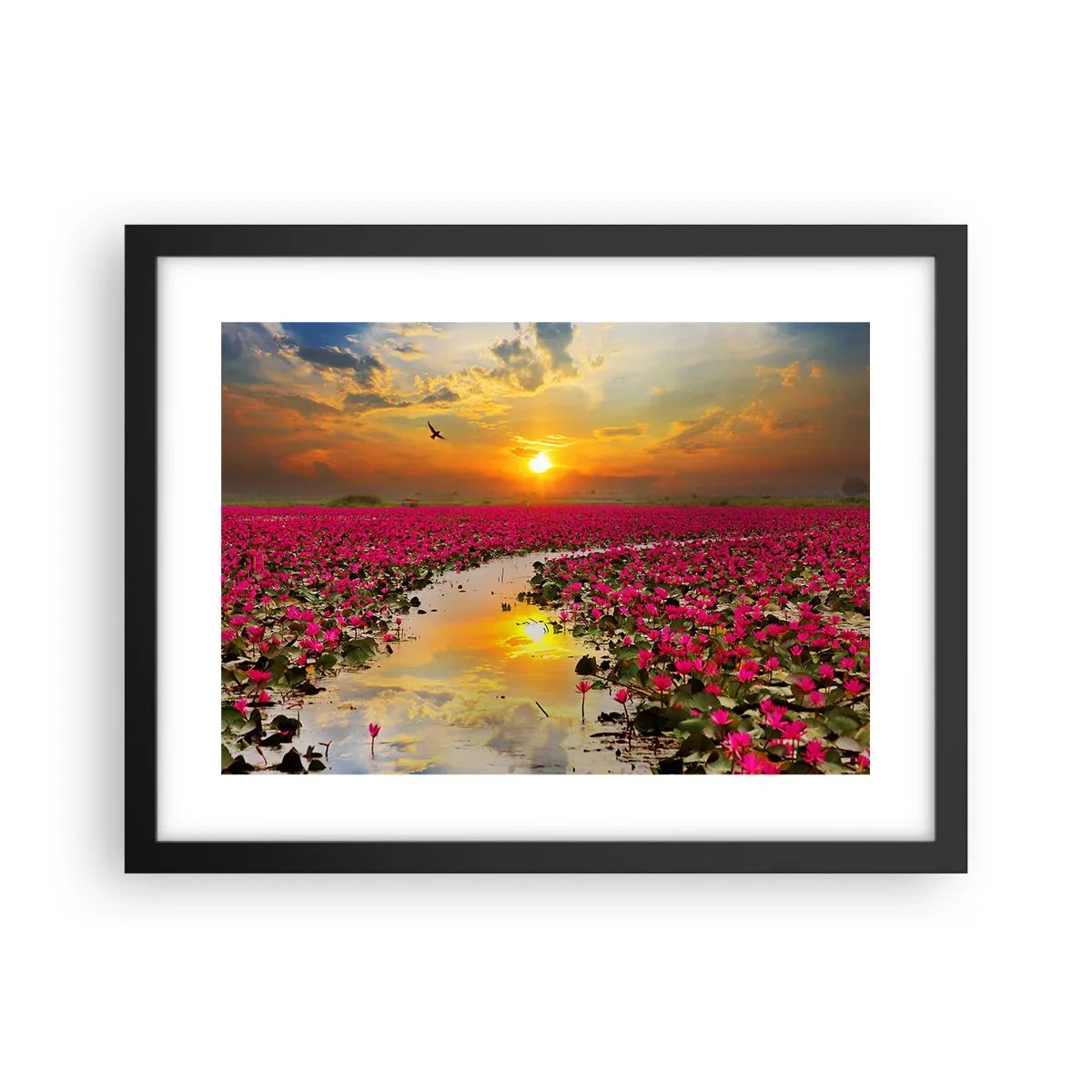 Plagát v čiernom ráme - Tajomný život jazera - 40x30 cm