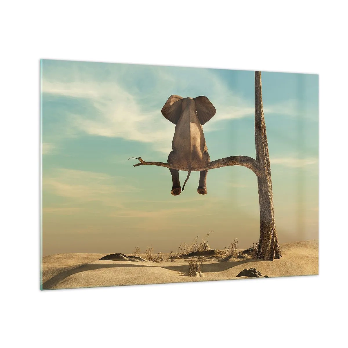 Obraz na skle - Nový uhol pohľadu - 100x70 cm