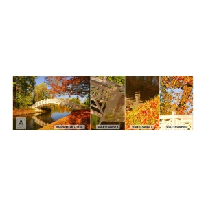 Vzorka samolepiacej fototapety Deluxe Sticker - Na bielom mostíku vzdychov - Krajina, Park, Drevený most - 100x30 cm