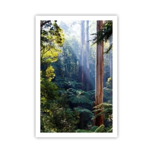 Plagát - Poviedka lesa - 61x91 cm