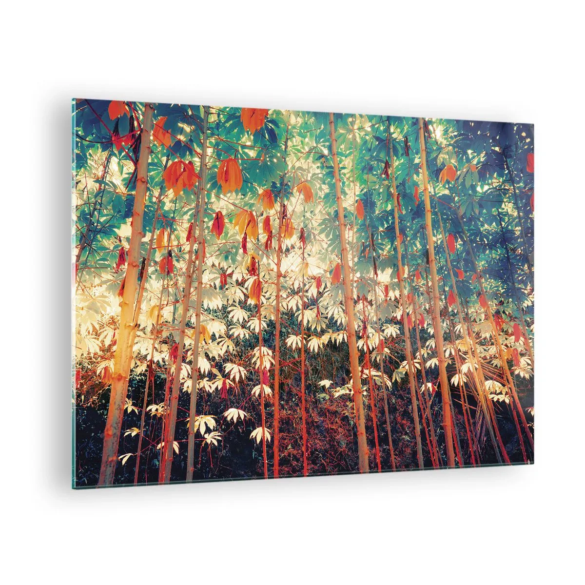 Obraz na skle - Farebný bambusový les s teplým osvetlením - 70x50cm - Tajný život listov - Moderná nástenná dekorácia do obývacej izby a spálne ARTTOR
