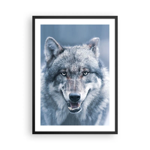 Plagát v čiernom ráme - Portrét vlka na pozadí zimnej krajiny - 50x70cm - Prijmete túto výzvu? - Moderná nástenná dekorácia do obývacej izby a spálne ARTTOR