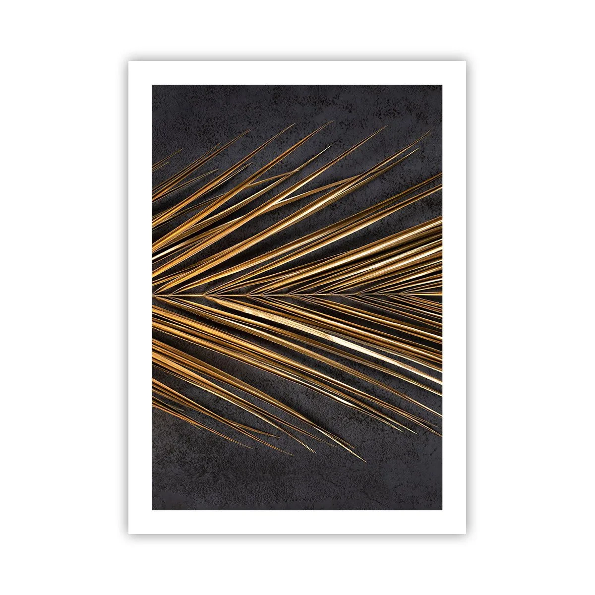 Plagát - Zlato trópov - 50x70 cm