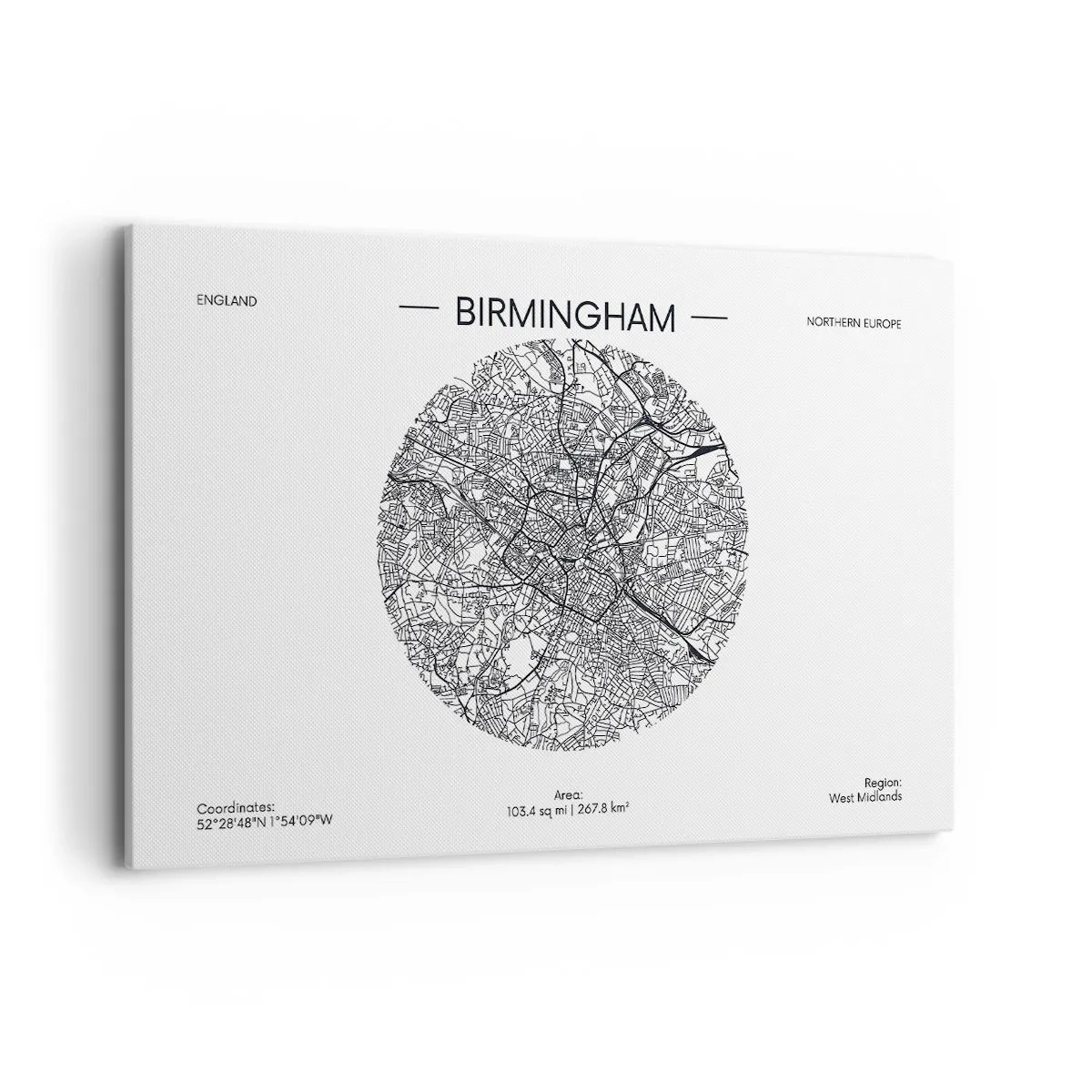 Obraz na plátne - Anatómia Birminghamu - 120x80 cm