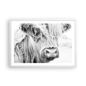 Plagát v bielom ráme - Škótska divokosť - 70x50 cm