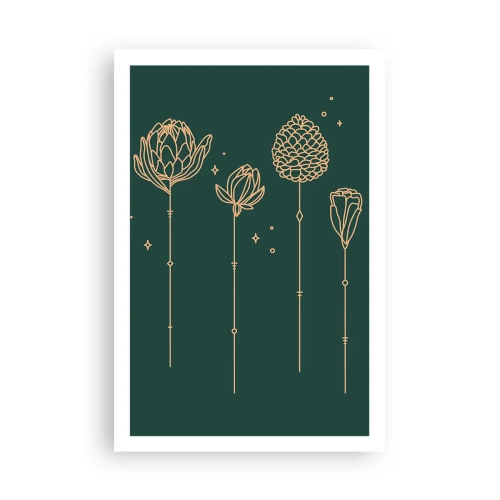 Plagát - Bylinky - 61x91 cm