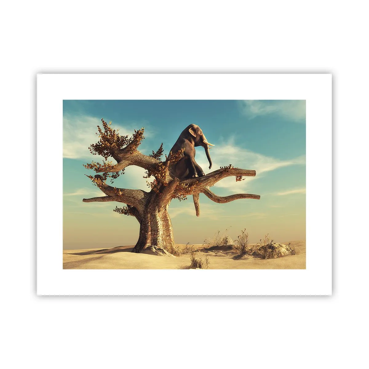 Plagát - Nový uhol pohľadu - 40x30 cm