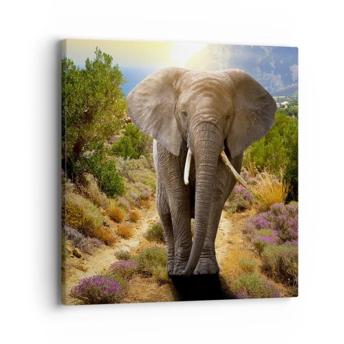 Obraz na plátne - Tak vyzeral Raj - 40x40 cm