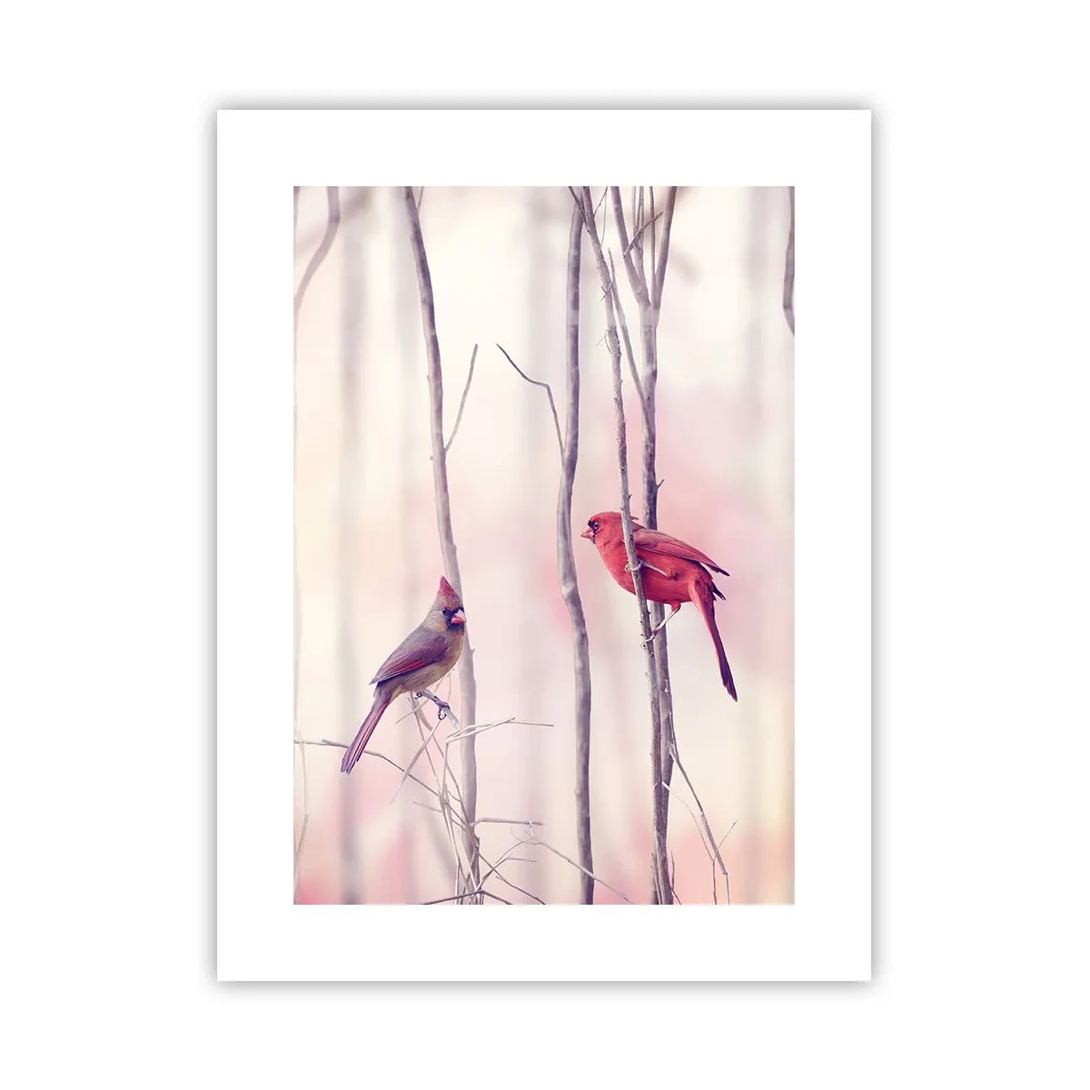 Plagát - Príbeh ružového lesa - 30x40 cm