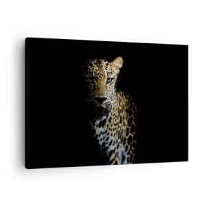 Obraz na plátne - Leopard na tmavom pozadí s intenzívnym pohľadom - 70x50cm - Temná krása - Moderná nástenná dekorácia do obývacej izby a spálne ARTTOR