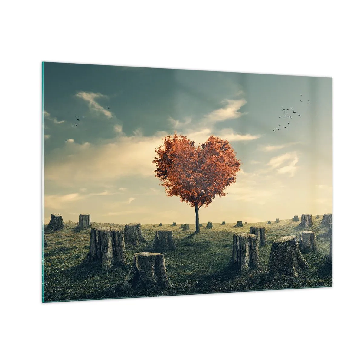 Obraz na skle - Stále je ešte nádej - 100x70 cm