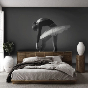Fototapeta Standard Eco - Bella ballerina - Balerína, balet, Tancujte - 200x140 cm