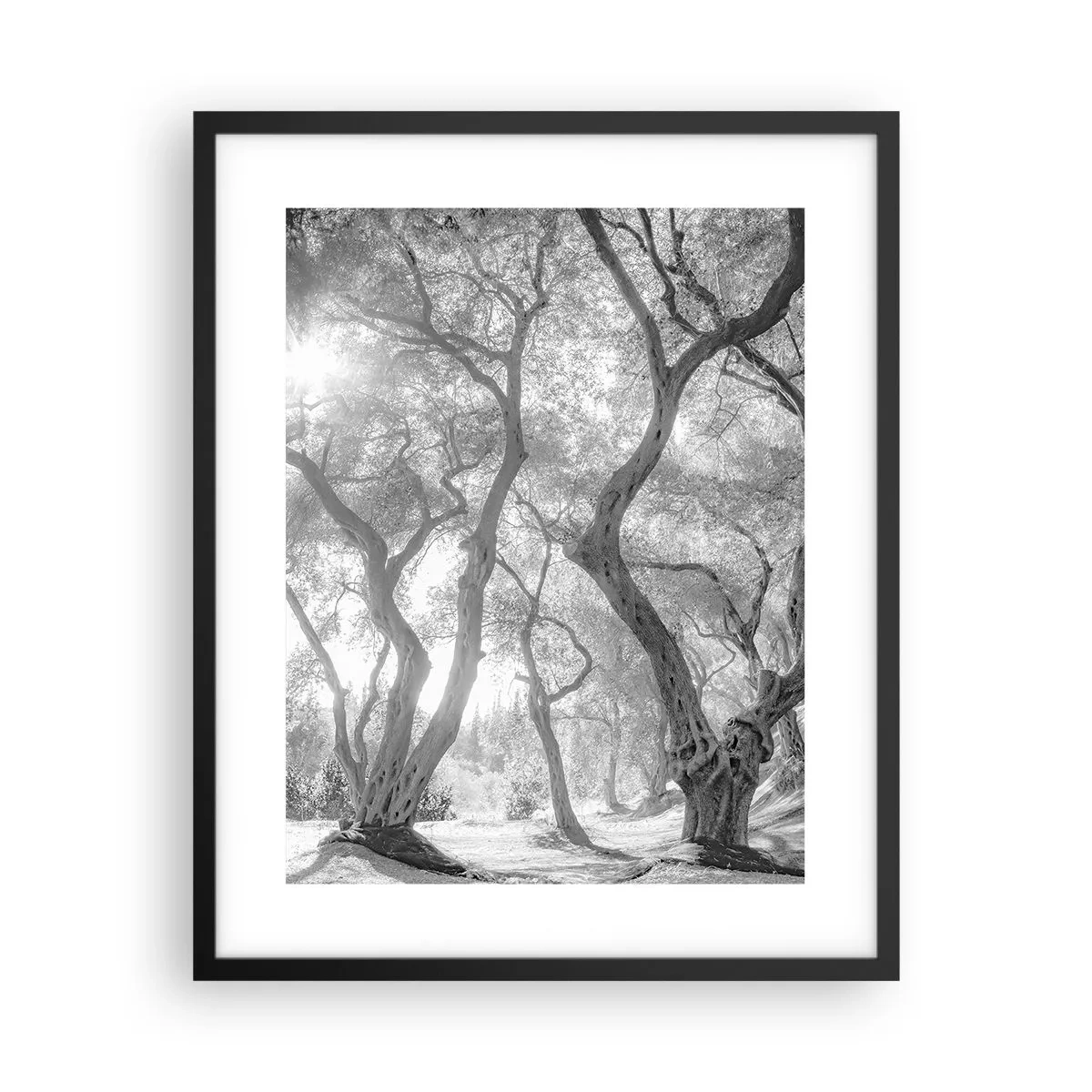 Plagát v čiernom ráme - V olivovom háji - 40x50 cm