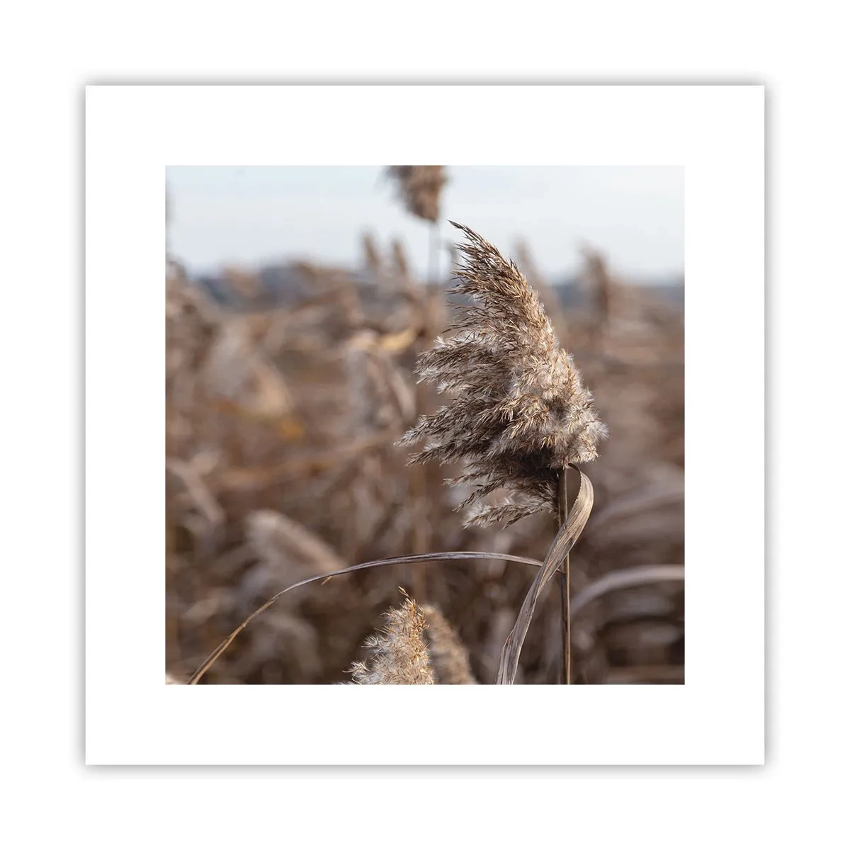 Plagát - Čas odletieť s vetrom - 30x30 cm