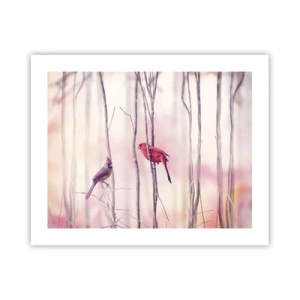 Plagát - Príbeh ružového lesa - 50x40 cm