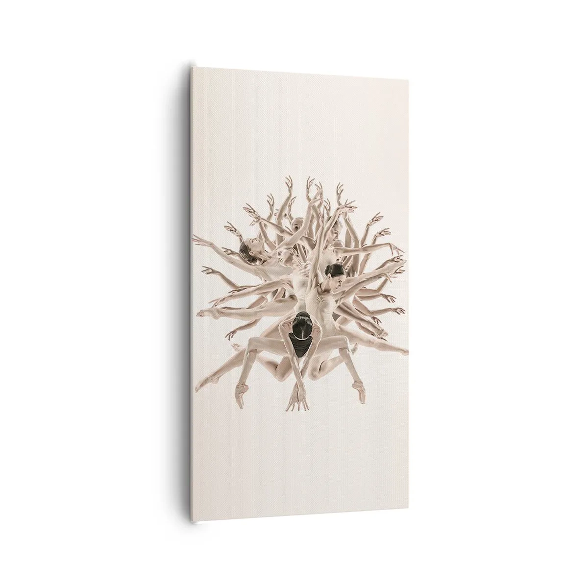 Obraz na plátne - Rozkvet v tanci - 65x120 cm