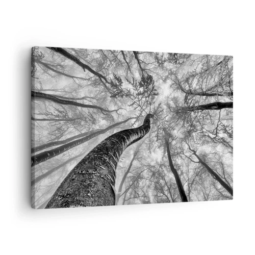 Obraz na plátne - Perspektíva stromov v lese videných zdola v odtieňoch sivej - 70x50cm - Závod ku svetlu - Moderná nástenná dekorácia do obývacej izby a spálne ARTTOR