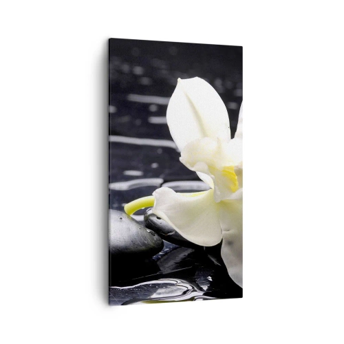 Obraz na plátne - Štúdia v čiernej a bielej - 45x80 cm