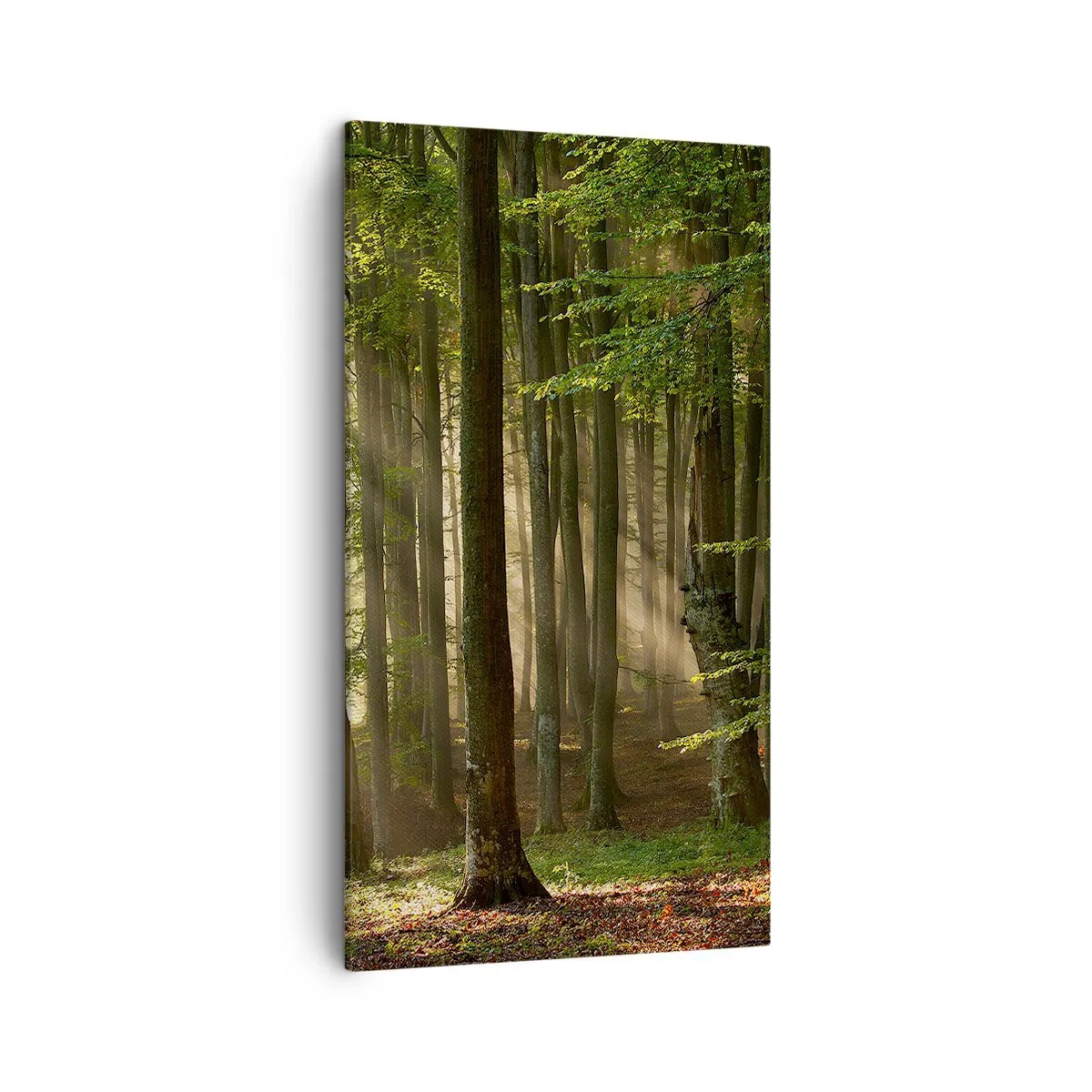 Obraz na plátne - Rozžiarený v jarnom ráne - 45x80 cm
