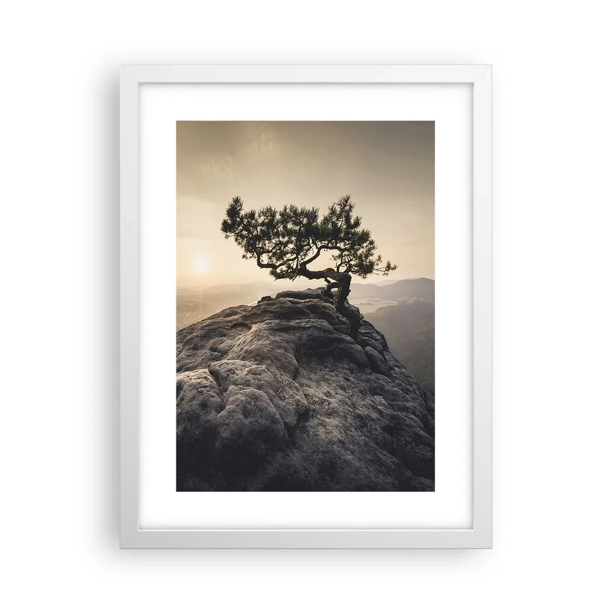 Plagát v bielom ráme - Život vždy víťazí - 30x40 cm