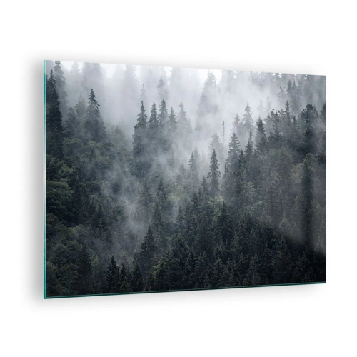 Obraz na skle - Hmla visí nad hustým ihličnatým lesom ráno - 70x50cm - Lesné svitania - Moderná nástenná dekorácia do obývacej izby a spálne ARTTOR