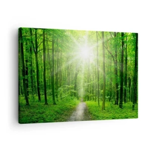 Obraz na plátne - Cesta v lese so slnečnými lúčmi - 70x50cm - Zelená katedrála - Moderná nástenná dekorácia do obývacej izby a spálne ARTTOR