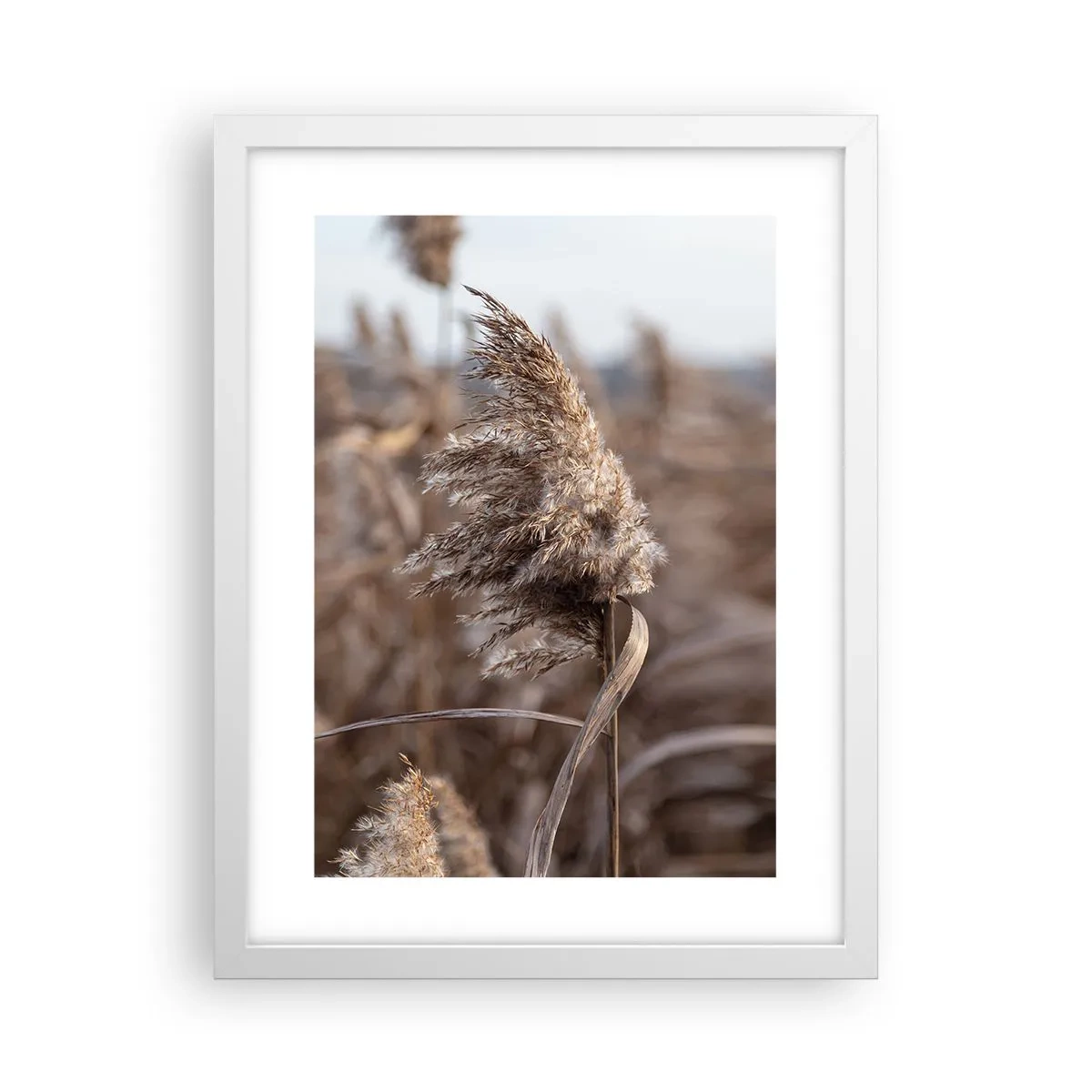 Plagát v bielom ráme - Čas odletieť s vetrom - 30x40 cm