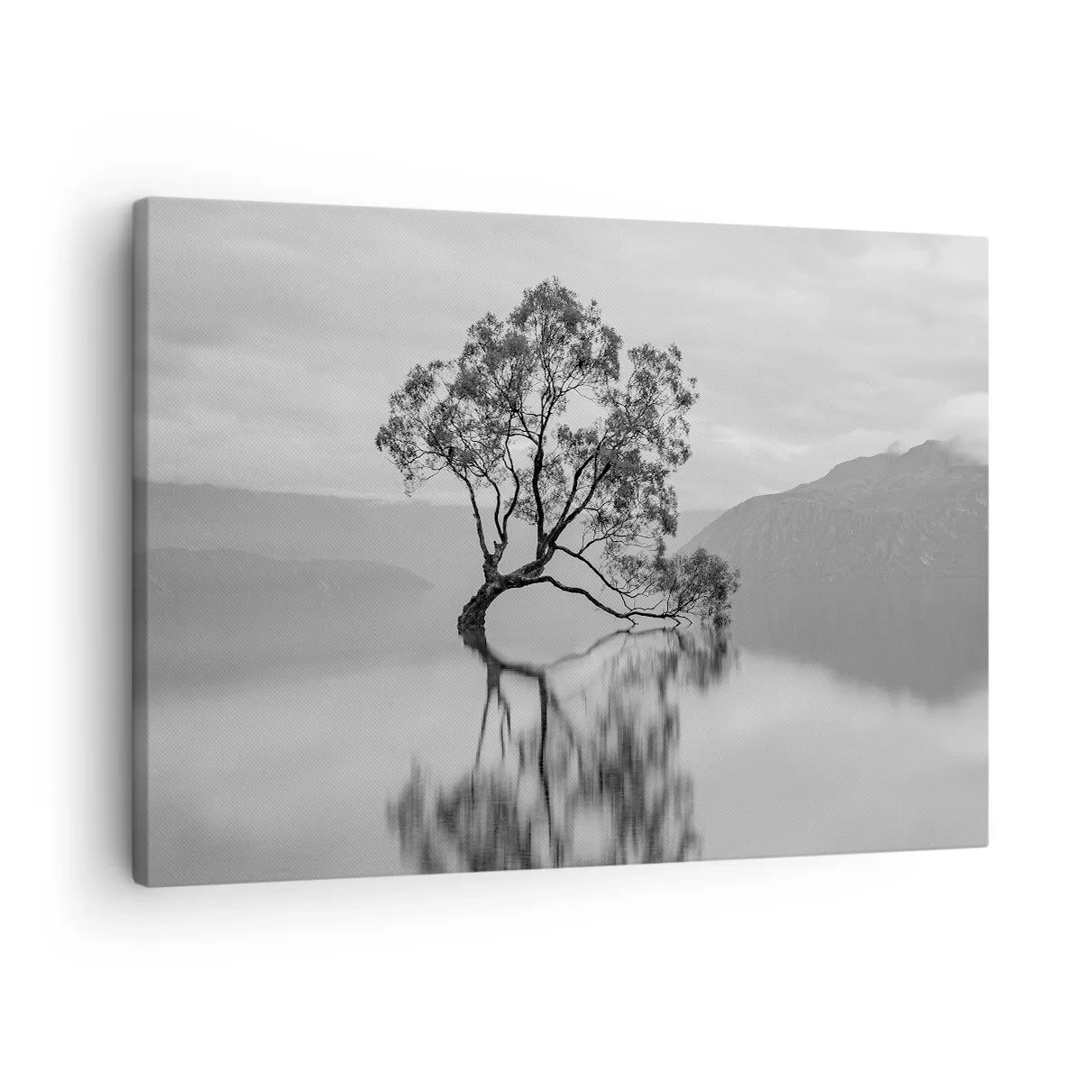 Obraz na plátne - Osamelý strom odrážajúci sa vo vode s horami v pozadí - 70x50cm - Existuje taká krajina - Moderná nástenná dekorácia do obývacej izby a spálne ARTTOR