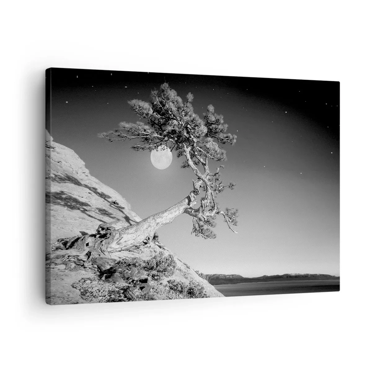 Obraz na plátne - Čiernobiely strom na útese s mesiacom v pozadí - 70x50cm - Víťazná bojovníčka - Moderná nástenná dekorácia do obývacej izby a spálne ARTTOR