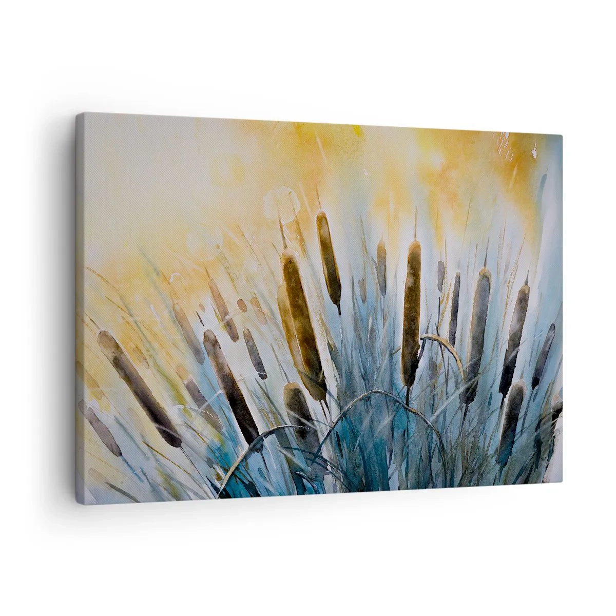 Obraz na plátne - Malebné trstiny v slnečných lúčoch - 70x50cm - Chlad vody, žiara slnka - Moderná nástenná dekorácia do obývacej izby a spálne ARTTOR