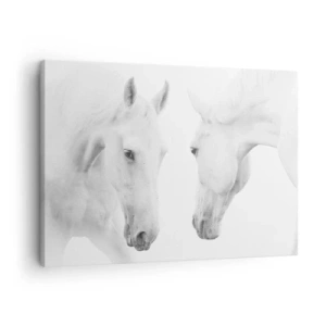 Obraz na plátne - Minimalistický portrét dvoch bielych koní - 70x50cm - Je to priateľstvo…? - Moderná nástenná dekorácia do obývacej izby a spálne ARTTOR