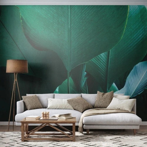 Fototapeta na mieru Premium Canvas - Obrátené k svetlu - Banánový list, Banánový strom, Rastlina