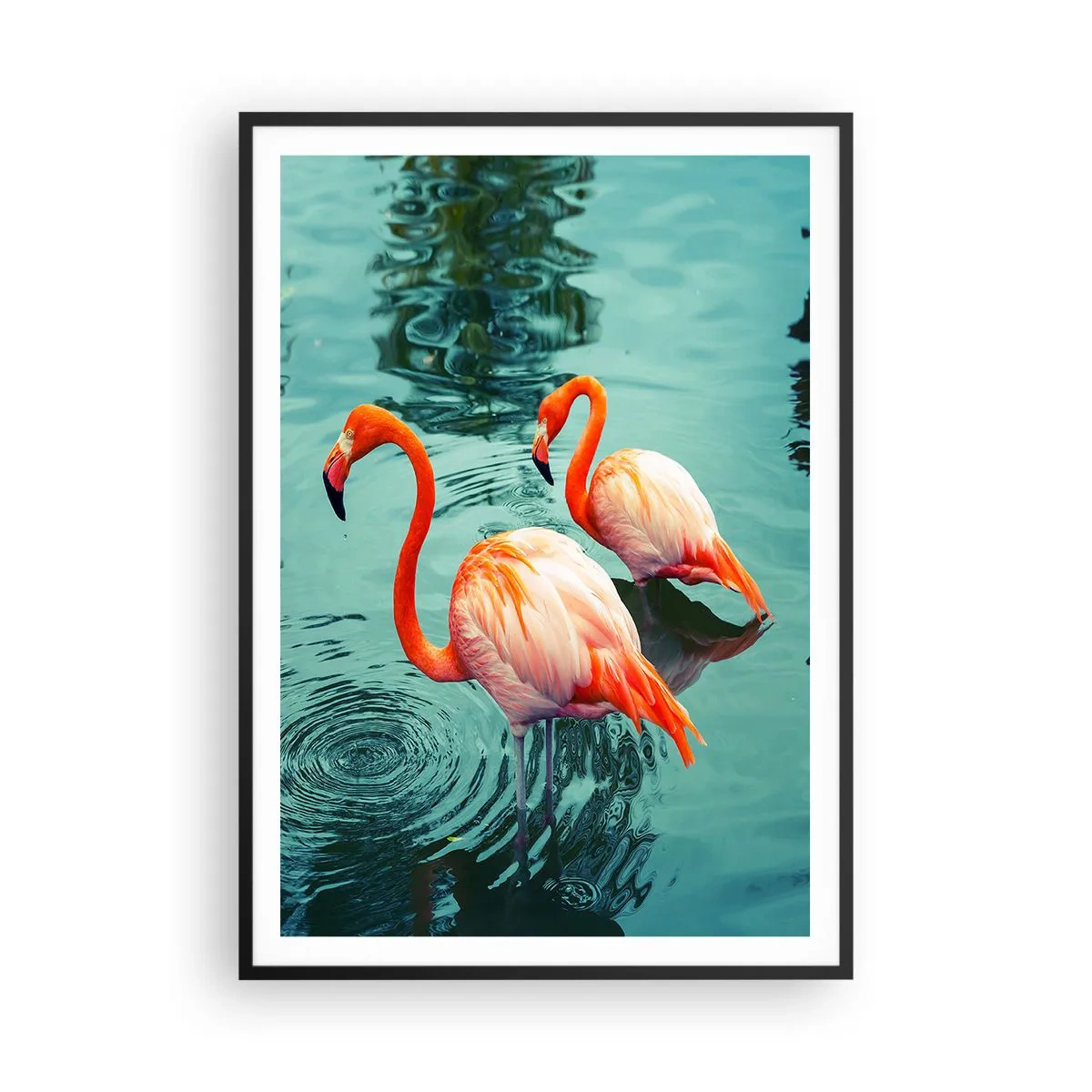 Plagát v čiernom ráme - Teraz sme v móde - 70x100 cm