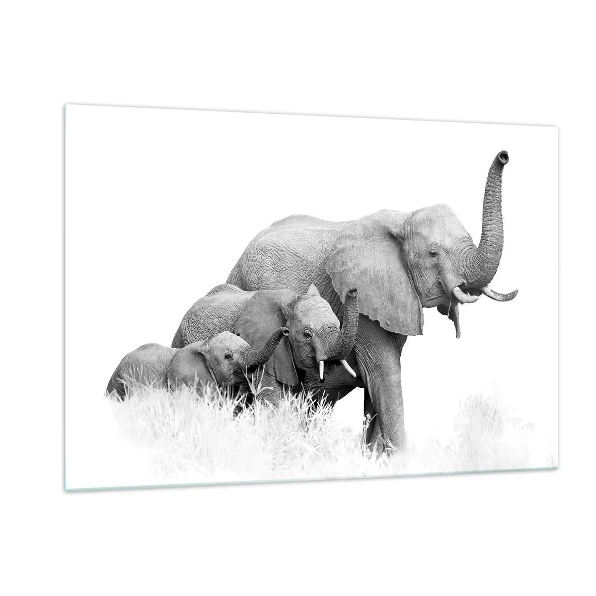 Obraz na skle - Jedna, dve, tri - 120x80 cm