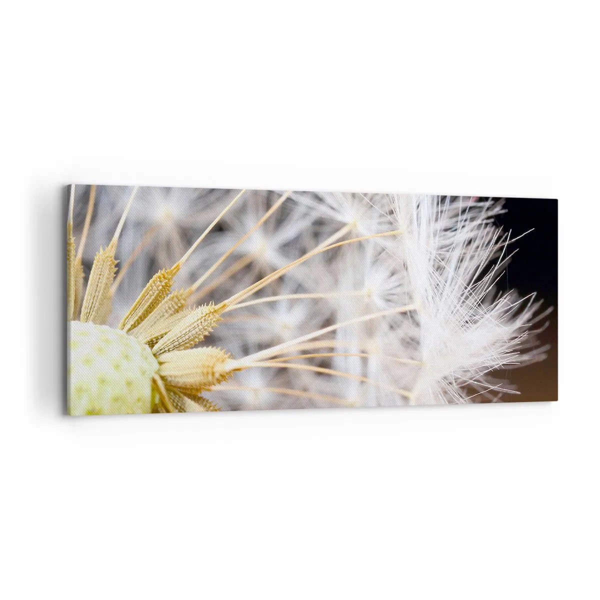 Obraz na plátne - Tesne pred odletom - 120x50 cm