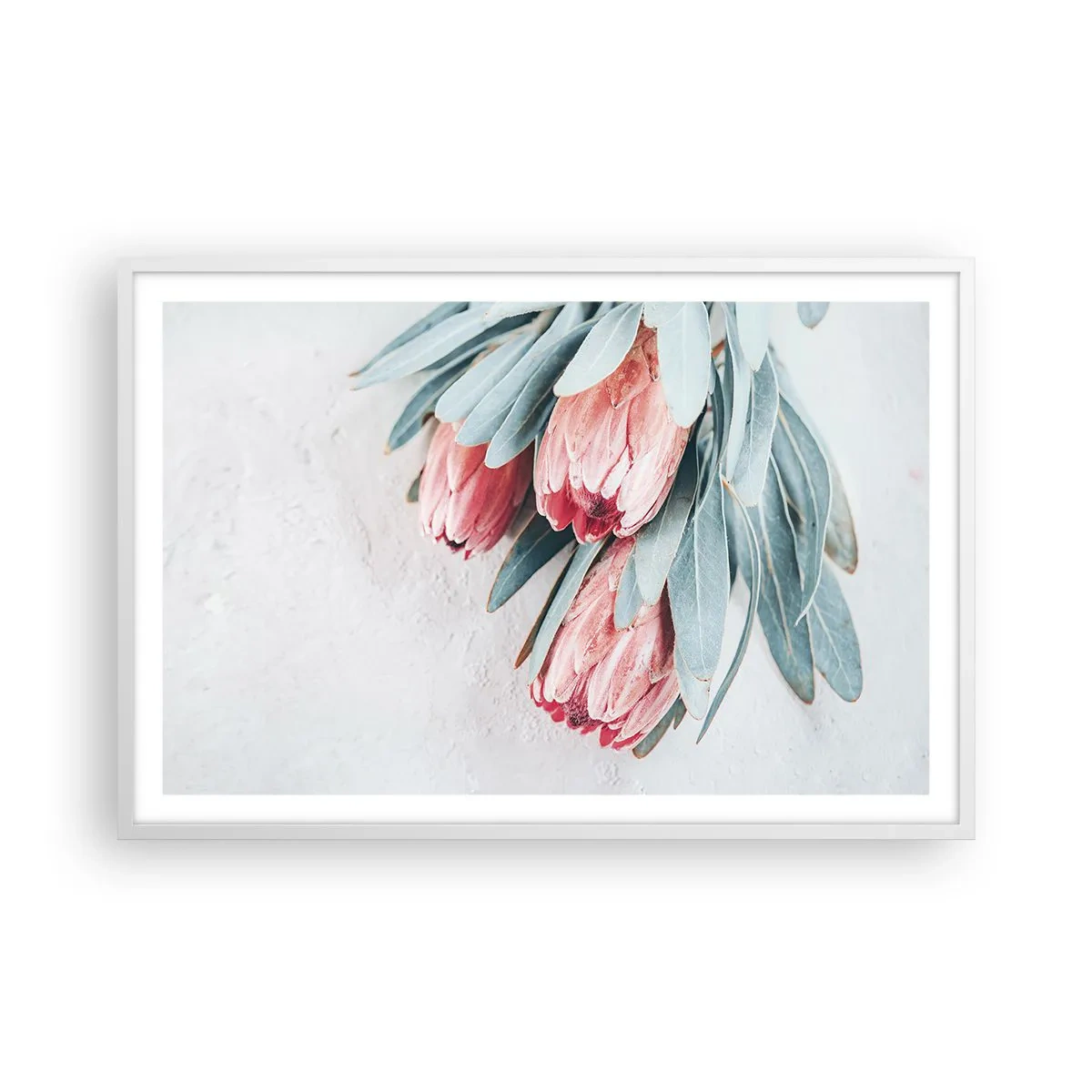 Plagát v bielom ráme - Zahanbené svojou vlastnou krásou - 91x61 cm