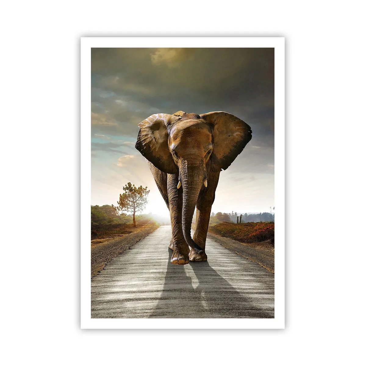 Plagát - A vôbec nie v sklade porcelánu - 70x100 cm