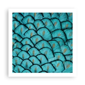 Plagát - Veľká slávnosť peria - 60x60 cm