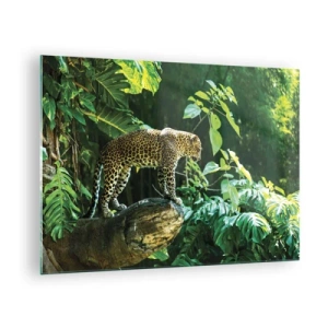 Obraz na skle - Leopard na skale v tropickej džungli - 70x50cm - Na lov? - Moderná nástenná dekorácia do obývacej izby a spálne ARTTOR