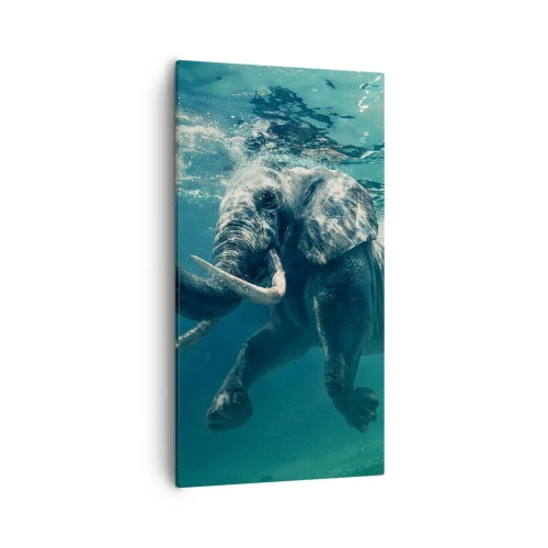 Obraz na plátne - Všetci radi plávajú - 55x100 cm