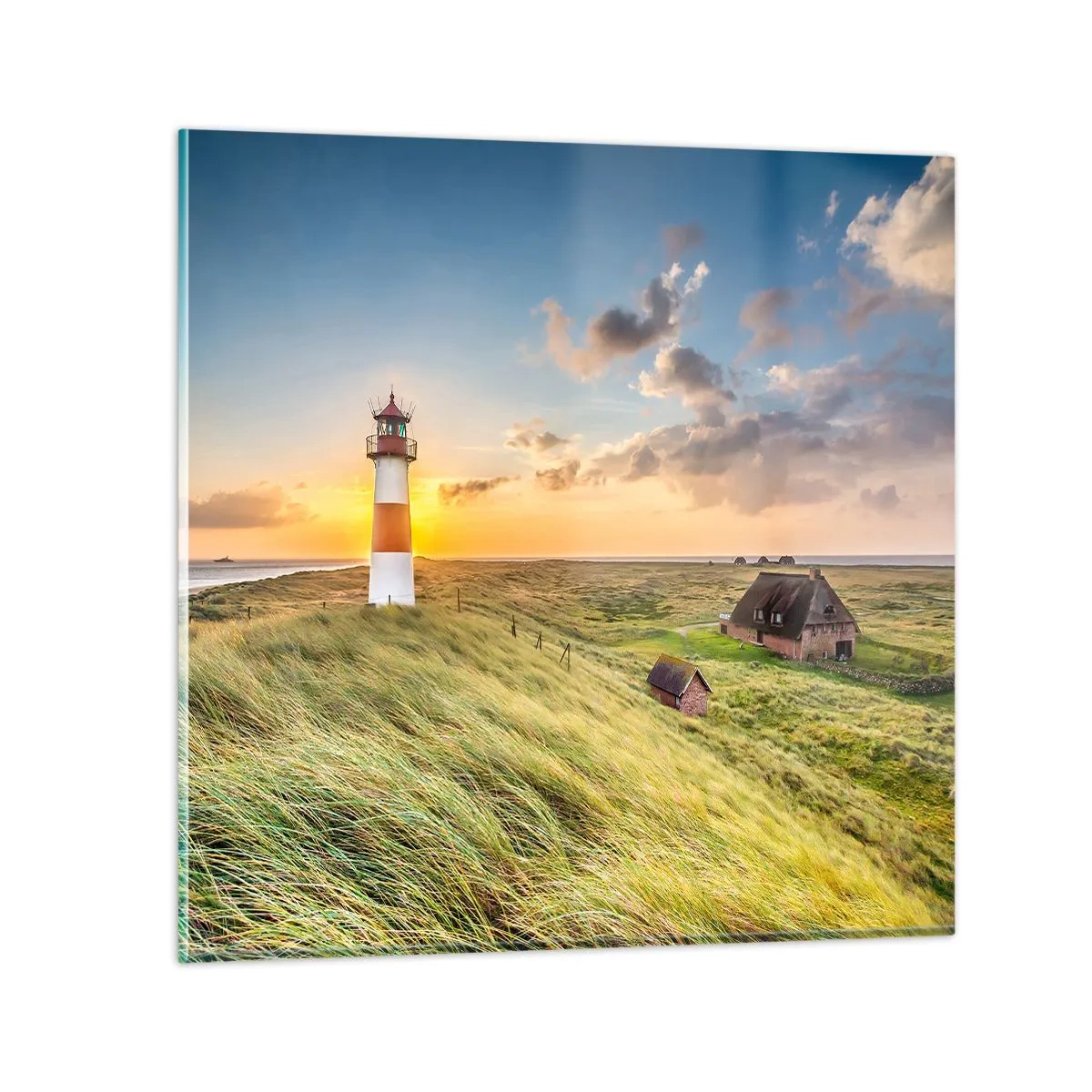 Obraz na skle - Medzi vlnami - 60x60 cm