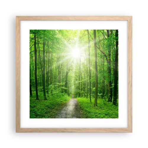 Plagát v ráme zo svetlého duba - Zelená katedrála - 40x40 cm