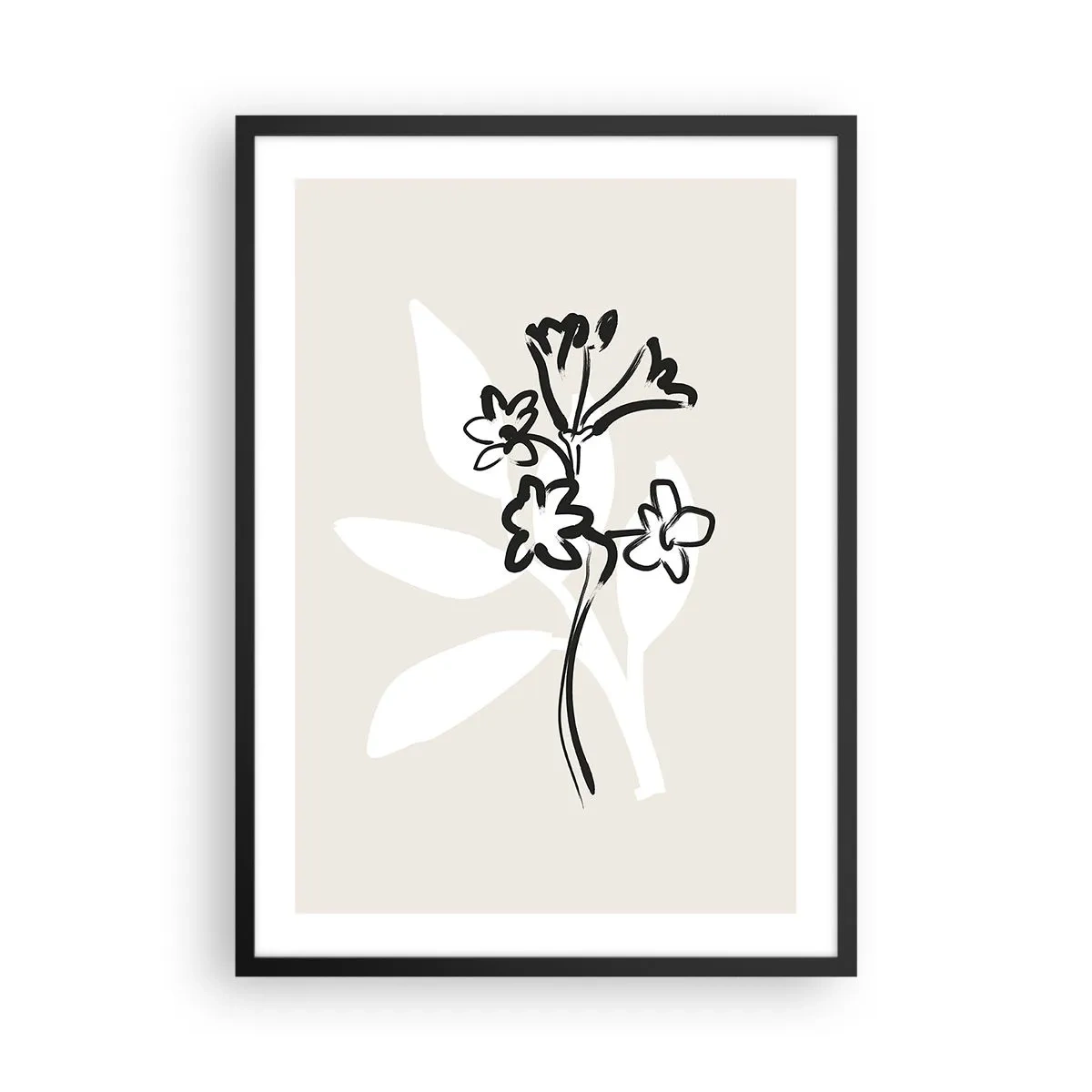 Plagát v čiernom ráme - Minimalistická kresba kvetu - 50x70cm - Náčrtok pre herbár - Moderná nástenná dekorácia do obývacej izby a spálne ARTTOR