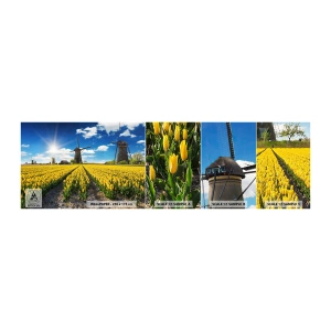 Vzorka samolepiacej fototapety Deluxe Sticker - Viac holandský nemôže byť - Krajina, Ventilátor, Tulipány - 100x30 cm