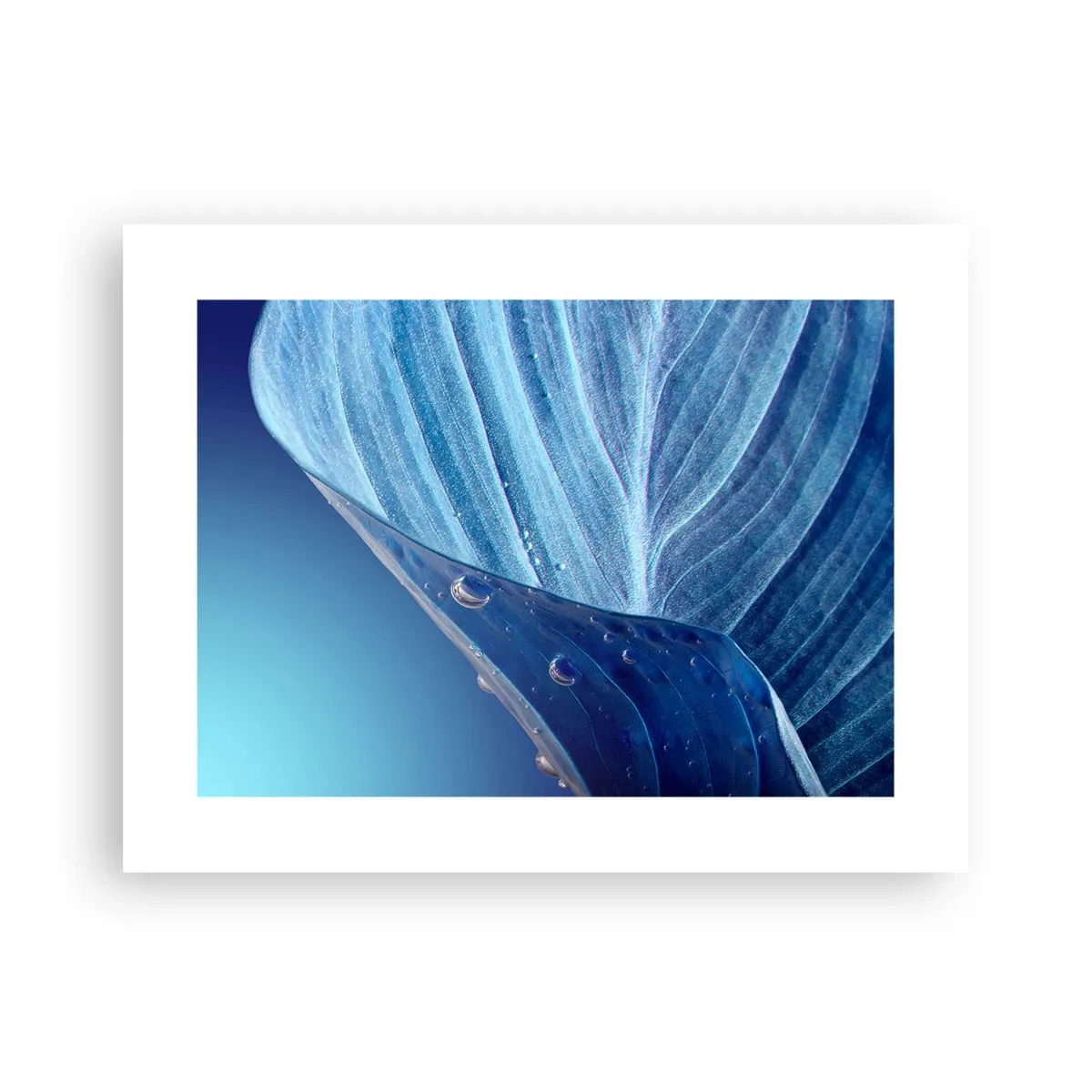 Plagát - Skryté kvapky modrej - 40x30 cm