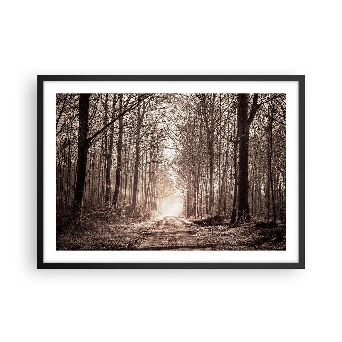 Plagát v čiernom ráme - Lesná katedrála - 70x50 cm